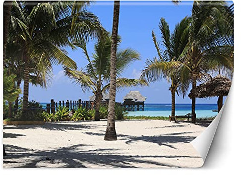 Feeby Fototapete XXL Sansibar Exotisch Insel 400x280 cm Blau Vliestapete Moderne Design Wandtapete Küche Flur Wohnzimmer Büro Badezimmer Kinderzimmer Tropen Strand Ozean