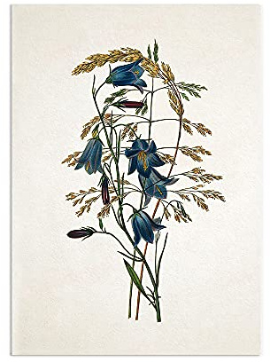Antiker Botanischer Kunstdruck - Wanddekoration Poster Blumen Glocken Illustration (A3 ungerahmt)