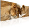 murando Acrylglasbild Löwe 200x80 cm 5 Teilig Wandbild auf Acryl Glasbilder Kunstdruck Moderne Acrylglas Platte Wanddekoration Geschenke Heimdekoration Glasbild - Tiere Afrika Liebe g-B-0061-k-n