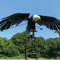 VLANIS Eule Windmühle Iron Art,magische windmühle,Metall Garten Windspiel, Fliegender Adler Windrad Windspiel, Einfache Installation, Lebendige Eulenhof Kunst Für Gärten, Vogelabwehr Windspiel,2