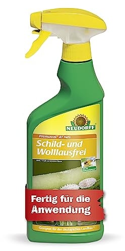Neudorff Promanal AF Neu Schild- und Wolllausfrei – Bekämpft Schild- und Wollläuse sowie Spinnmilben an hartlaubigen Zierpflanzen wie z.B. Oleander und Olive, 500 ml, bunt
