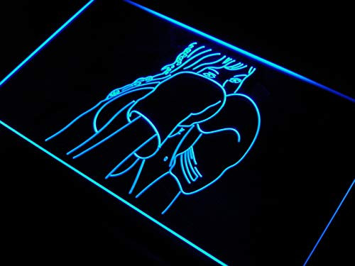 ADVPRO s138-b Kick Boxing Fitness Club Gym Neon Light Sign Barlicht Neonlicht Lichtwerbung
