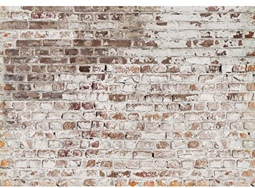 Runa Art Fototapete Steinwand Modern Vlies Wohnzimmer Schlafzimmer - Made in Germany - 308 x 220 cm Weiss Braun 9083010c