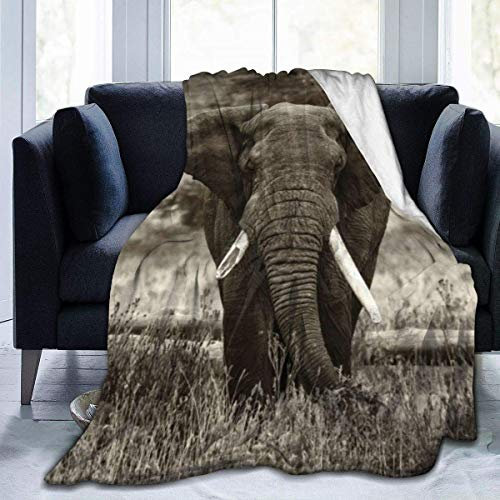 FANSU Kuscheldecke Flanell Decke, 3D Drucken Microfaser Flauschig Weich Warm Plüsch Wohndecke Fleece Tagesdecke Decke für Sofa und Bett (Elefant,150x220cm)