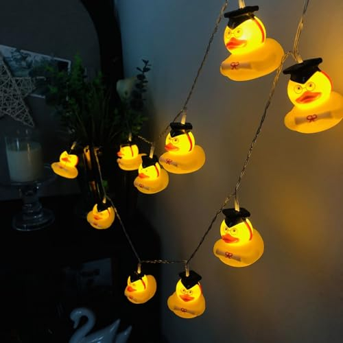 Riaxuebiy 1.65M 10LEDs Abschluss-Lichterketten,Bemalte Ente Laternen Dekoratives Nachtlicht,USB-betriebene Cartoon-Tierente Lichterkette für Terrasse Weihnachten Urlaub Kinderzimmer Dekoration