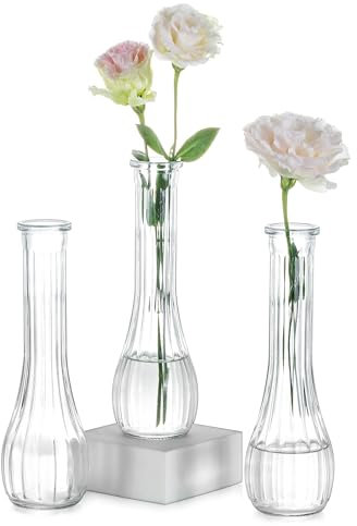 NUPTIO Petit Vase en Verre pour Fleur: 3 Pièces 21,7cm Grand Soliflore Transparent Vases Decoratif pour Centre de Table Mariage Fête Interieur Maison Deco