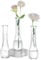 NUPTIO Petit Vase en Verre pour Fleur: 3 Pièces 21,7cm Grand Soliflore Transparent Vases Decoratif pour Centre de Table Mariage Fête Interieur Maison Deco
