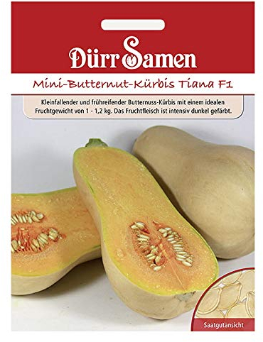 Dürr Samen 4270 Mini-Butternut-Kürbis Tiana F1 (Kürbissamen)