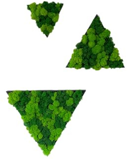 Gedankenwunder Manufaktur Moosbild Triangle Dreieck Rund Holz Rahmen