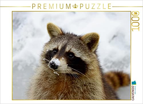 CALVENDO Puzzle Waschbär im Schnee | 1000 Teile Lege-Größe 64 x 48 cm Foto-Puzzle für glückliche Stunden