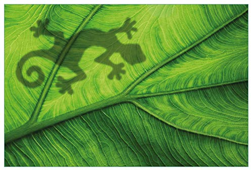 Wallario Küchenrückwand selbstklebend 90 x 60 cm, Motiv: Gecko Schatten auf grünem Blatt - Umriss | Spritzschutz abwischbar & pflegeleicht