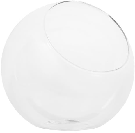 HOUDERCO Vase en Verre Transparent à Bouche Oblique pour Plantes Succulentes, Surface Lisse et Design Créatif, pour Projets DIY la Maison