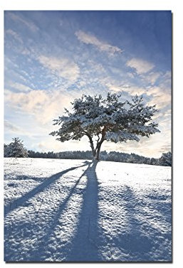 Paul Sinus Art 120x60cm - WANDBILD Schnee Baum Schatten Winter - Leinwandbild auf Keilrahmen modern stilvoll - Bilder und Dekoration