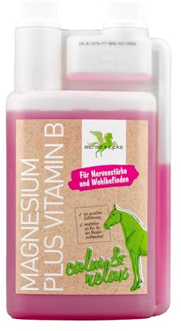 PARISOL Magnesium plus Vitamin B - 1000 ml