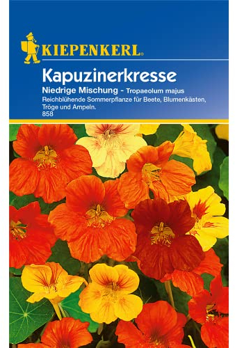 Kiepenkerl, Kapuzinerkresse, Tropaeolum majus Niedrige Mix