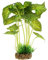 Artificial Water Grass,Saim Aquarium Plants Decor Fish Tank Decoration Ornament Artificial Plastic Syngonium Water Grass Plant 8.6 inch Tall