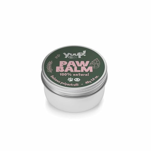 YUUP! - Pfotenbalsam Hund und Katzen, 40 gr, Pfotenschutz Salbe 100% natürlich, Paw Balm für Pfoten, Nase, Fingerspitzen und Ellbogen