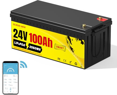 24V 100AH Lifepo4 Batteria con Protezione a Bassa Temperatura BMS Batteria Marina al Litio a Ciclo Profondo con Bluetooth Max. 2560Wh di Energia per Trolling Motor da 85 lb, RV, Off-grid, Solare