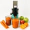 JuiceInstant - Estrattore di succhi compatto per frutta e verdura, spremiagrumi elettrico senza BPA, con setaccio, antigoccia, frullatore lento che conserva vitamine (Nero)