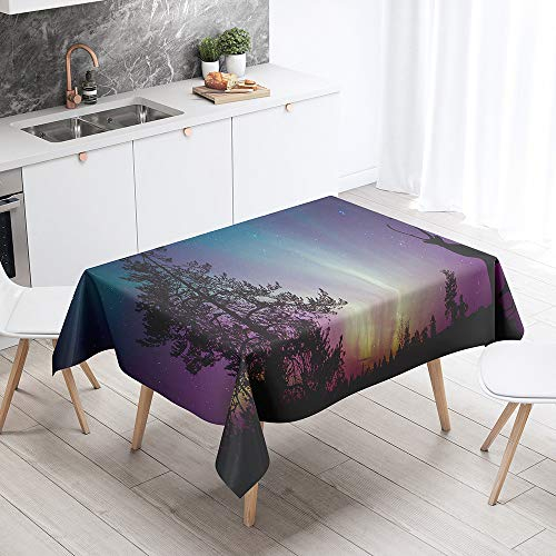 Himlaya Tischdecke 3D Aurora Druck Abwaschbar, Rechteckig Wachstuchtischdecke, Pflegeleicht Fleckschutz Ölfest Abwaschbar Outdoor Garten Deko (Toter Baum,140x200)