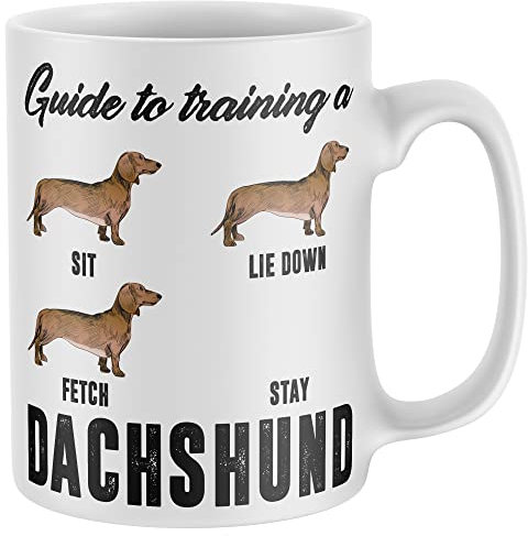 Purple Print House Funny Sausage Dog Mug Womens Dachshund Guide To Training Coffee and Tea Cup Birthday Gift for Sausage Dog Owner Men Women Puppy Dog Owners