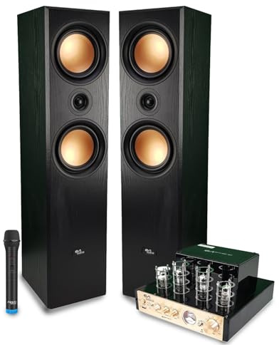 Evidence Acoustics Pack Home-Cinéma 2.0 HiFi - 2x500W PMPO, Amplificateur à Tube, EA-50TUBE-BT stéréo Vintage, Micro VHF