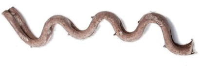 YTtkku Branche d'angle en rotin naturel pour terrariums - Pour plantes décoratives - Pour lézards et serpents