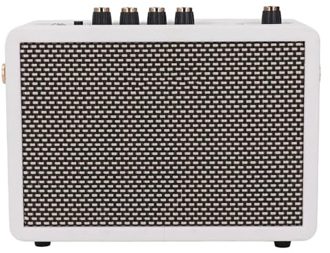TIKATARER Piccolo Amplificatore per Chitarra, Amplificatore Portatile da 10 W con Bluetooth 5.0, Effetti di Riverbero con Distorsione Pulita a Doppio Canale, Ideale per Altoparlante da Tavolo per