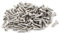 Sourcingmap Stainless Steel Flat Head Phillips Self-Tapping Screw 12mmx3mm 100Pcs