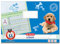 5 Schreiblernhefte / A4 / 1. Schuljahr / 16 Blatt / Lineatur SL