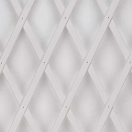 Treplas 1,00x1 m, Bianco, Traliccio Estensibile in PVC per Sostegno a Muro di Fiori e Piante Rampicanti