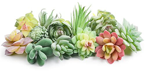 HappyHapi 12 Pcs Artificial Succulents Mini Fake Plants Unpotted Faux Succulent for Craft, Small Plastic Succulents Assortment in Flocked Green Floral Decor for Party, Cake, Garden & Outdoor