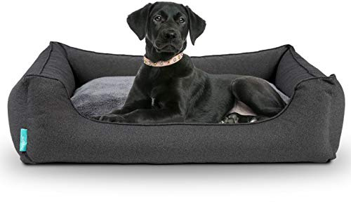 Hyggins Dreamer Perfect Hundebett | Wendekissen orthopädisch | Bezug abnehmbar und waschbar | Boden wasserabweisend (S 60 x 44cm, Dunkelgrau)…