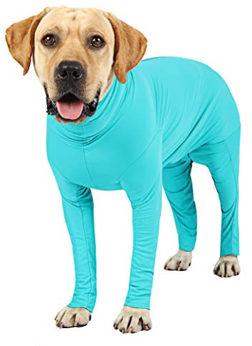 Etdane Dog Onesie Surgery Recovery Suit Prevent Shedding Hair Sport Shirt Anxiety Jumpsuits Lake Blue/X-Small