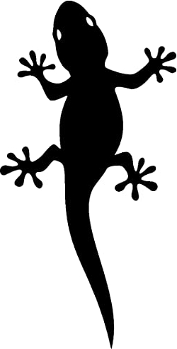 Samunshi® Gecko Aufkleber Gecko Sticker in 10 Größen und 25 Farben (5,9x10cm schwarz)