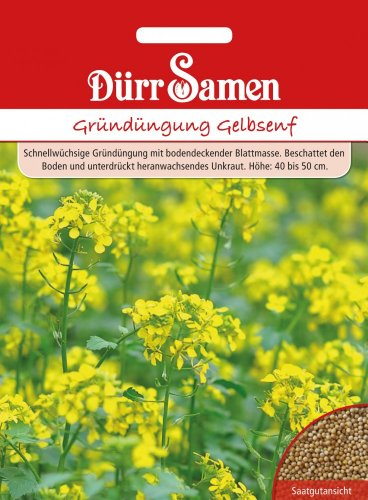 Gründüngung Gelbsenf 500 g