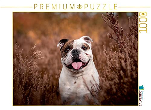 CALVENDO Puzzle Bruce | 1000 Teile Lege-Größe 64 x 48 cm Foto-Puzzle für glückliche Stunden