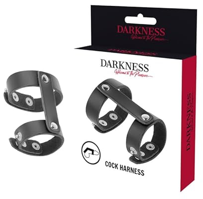 DARKNESS ADJUSTABLE LEATHER PENIS AND TESTICLES RING