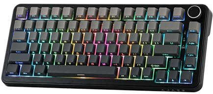 MechLands AK820 MAX HE Hall-Effekt Magnetic Gaming Keyboard, einstellbare Betätigung, 8KHz Polling Rate, Wired Rapid Fast Keyboard, cremefarbene Dichtung, RGB, NKRO für Win/Mac (Farbverlauf Grau)
