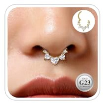 ESHIONER G23 Titan Conch Piercing Schmuck Helix Gold Silber Hoop Septum Rook Tragus Daith Piercing Hinged Segment Clicker 16G 8MM 10MM 12MM Nasenring Double Creolen Helix Knorpel Ohrringe für Damen