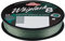 Berkley Whiplash8 Angelschnur, Superline, Raubfischangeln, Hecht, Barsch, Zander, Forelle, Unisex, Moosgrün, 0,06 mm, 10,7 kg, 10,4 kg, 165 m