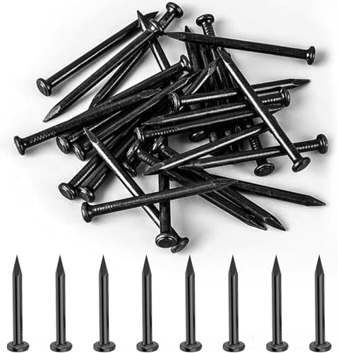 270 Pcs Masonry Nails for Brick Wall, Hardware Nails, 25 mm/0.98 inch Steel NailsFlat Head Concrete Wall Nail Assortment Kit for Hanging Pictures Woodworking Drywall