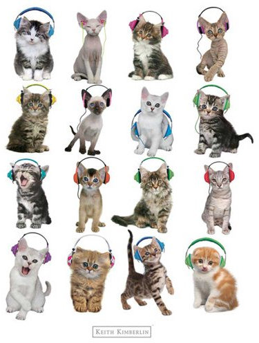 Keith Kimberlin - Kitten Headphones Musik Mini-Poster - Grösse 40x50 cm