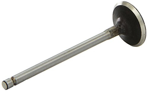 AE V94599 Einlaßventil