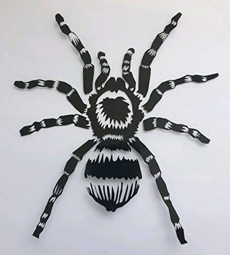 myrockshirt Vogelspinne Spider ca 20 cm Aufkleber,Sticker,Decal,Autoaufkleber,UV&Waschanlagenfest,Profi-Qualität