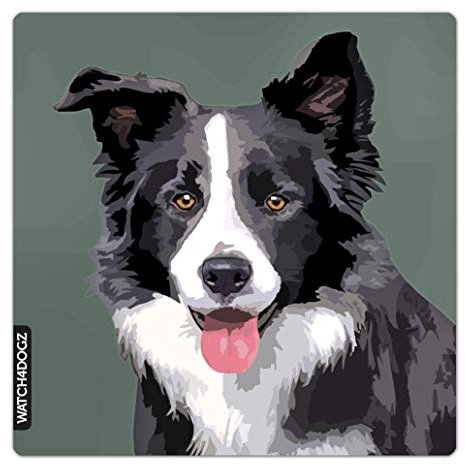 Border Collie Panneau, Plaque Attention au Chien, 22 x 22 cm