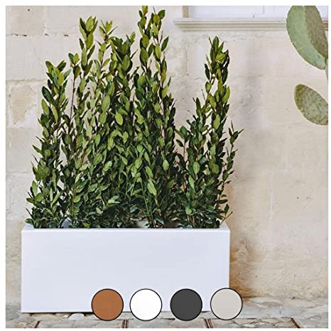 MONACIS Jardinière rectangulaire Matera blanc