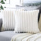 Soleebee 2er Set Plüsch Samt Kissenbezüge, Weiche Künstliche Pelz Dekorativ Kissenbezug Sofa Zierkissenbezüge Dekokissen Kissenhülle Set für Couch Schlafzimmer Zuhause Auto Dekor (45x45cm, Beige Weiß)