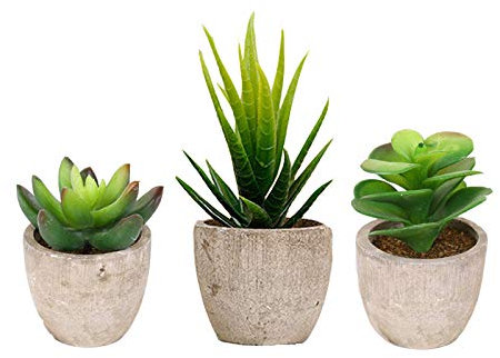 Eyand 3Pcs Artificial Potted Succulents Plants - Small Artificial Plants indoor, Mini Decorative Plants, Fake Houseplants for Living Room, Office, kitchen, Bookshelf, Tabletop Decoration