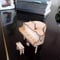 RLS 3D Piano Wooden Puzzle Jigsaw DIY Music Box Hand Crank Engraved Model Kit Brain Teaser and Educational STEM Building kit toy